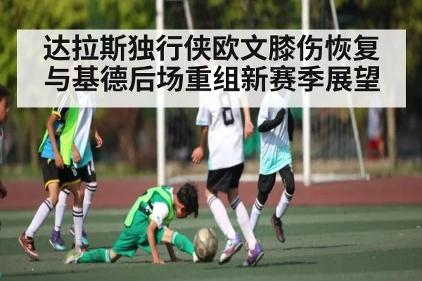 达拉斯独行侠欧文膝伤恢复与基德后场重组新赛季展望（manbetx）